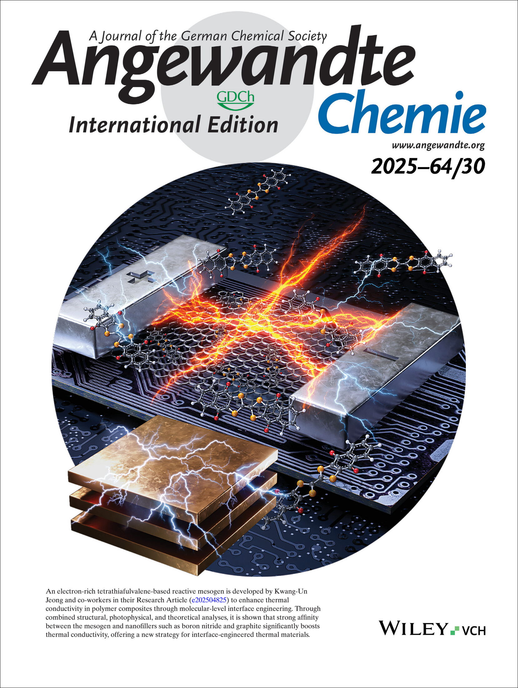 Outside Back Cover: Molecular-Level Interface Engineering and Additive-Induced Crystallinity Tuning for High-Performance Thermally Conductive Polymer Composites (Angew. Chem. Int. Ed. 30/2025) Volume 64 Issue 30, 2025