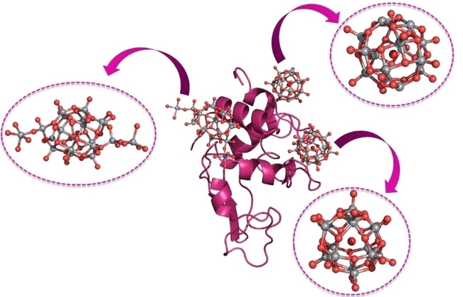 Non-Covalent and Covalent Binding of New Mixed-Valence Cage-like Polyoxidovanadate Clusters to Lysozyme