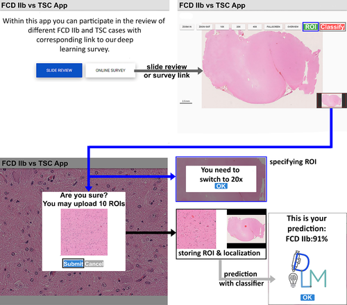 Details are in the caption following the image Details are in the caption following the image