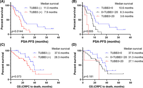 Exosomal TUBB3 mRNA expression of metastatic castration-resistant prostate cancer patients: Association with patient outcome under abiraterone