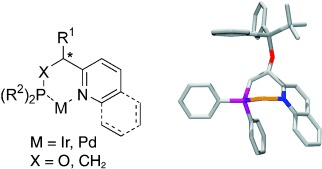 Synthesis of Versatile Chiral N,P Ligands Derived from Pyridine and Quinoline