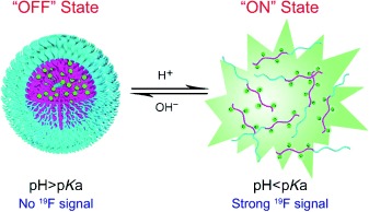 Multi-Chromatic pH-Activatable 19F-MRI Nanoprobes with Binary ON/OFF pH Transitions and Chemical-Shift Barcodes