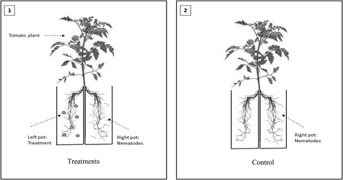 Details are in the caption following the image