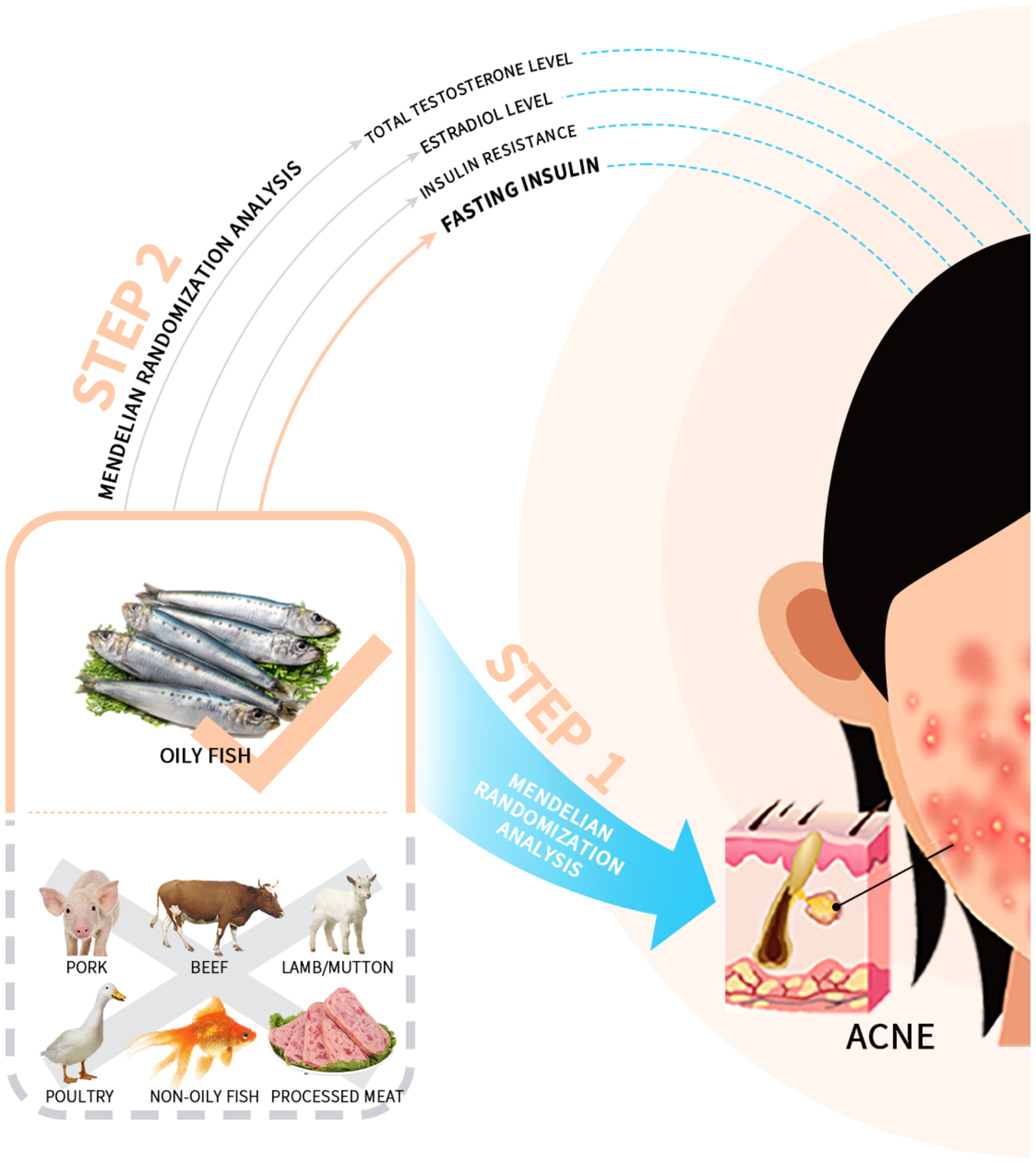 Oily fish reduces the risk of acne by lowering fasting insulin levels: A Mendelian randomization study