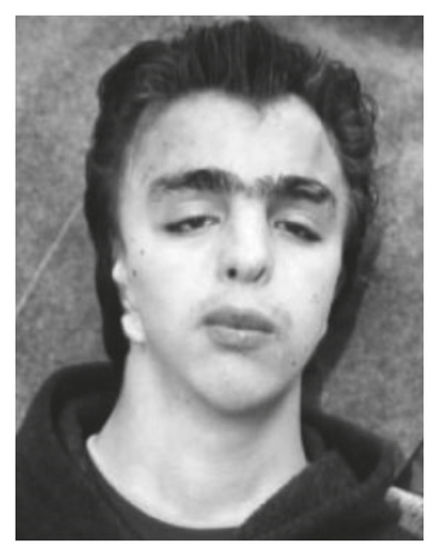 Details are in the caption following the image Details are in the caption following the image