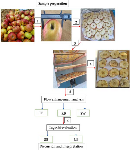 Details are in the caption following the image Details are in the caption following the image