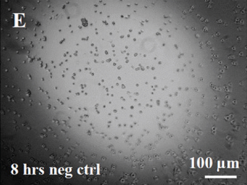 Details are in the caption following the image