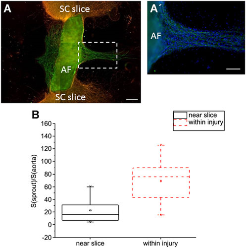 Details are in the caption following the image Details are in the caption following the image