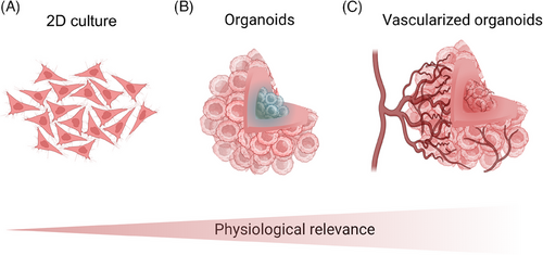 Details are in the caption following the image