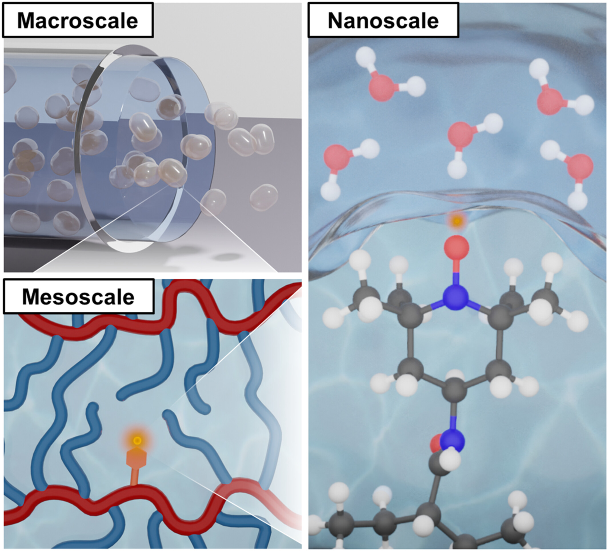 Solution-Like Water Transport Across Molecular to Macroscopic Length Scales in Crosslinked Poly(Ethylene Glycol Diacrylate) Networks With Tailored Sidechains Issue ,