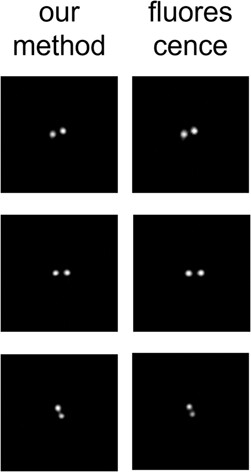 Scattered-light-sheet microscopy with sub-cellular resolving power