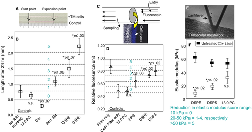 Details are in the caption following the image Details are in the caption following the image