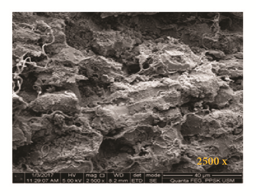 Details are in the caption following the image