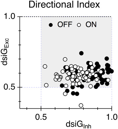 Directional excitatory input to direction-selective ganglion cells in the rabbit retina