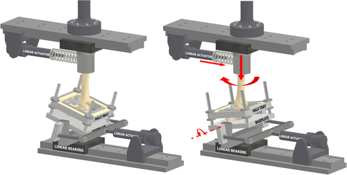 Details are in the caption following the image