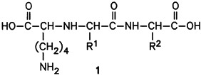 Synthesis of N-(1-Carboxy-5-aminopentyl)dipeptides as Inhibitors of Angiotensin Converting Enzyme