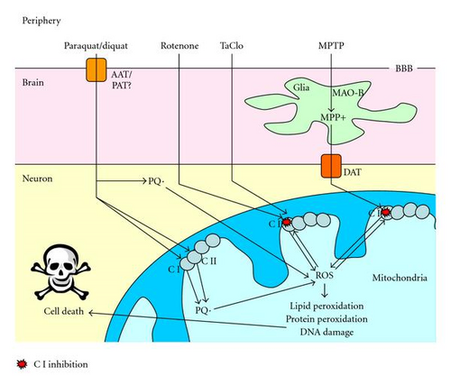 Details are in the caption following the image