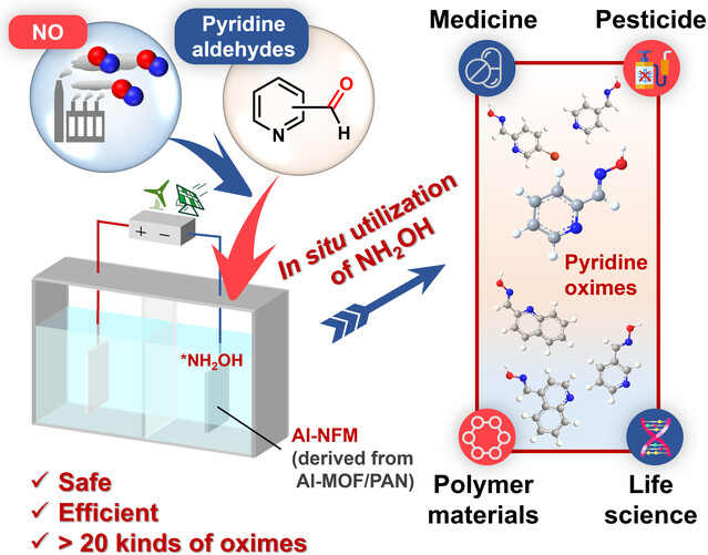 Electrocatalytic Synthesis of Pyridine Oximes using in Situ Generated NH2OH from NO species on Nanofiber Membranes Derived from NH2-MIL-53(Al)