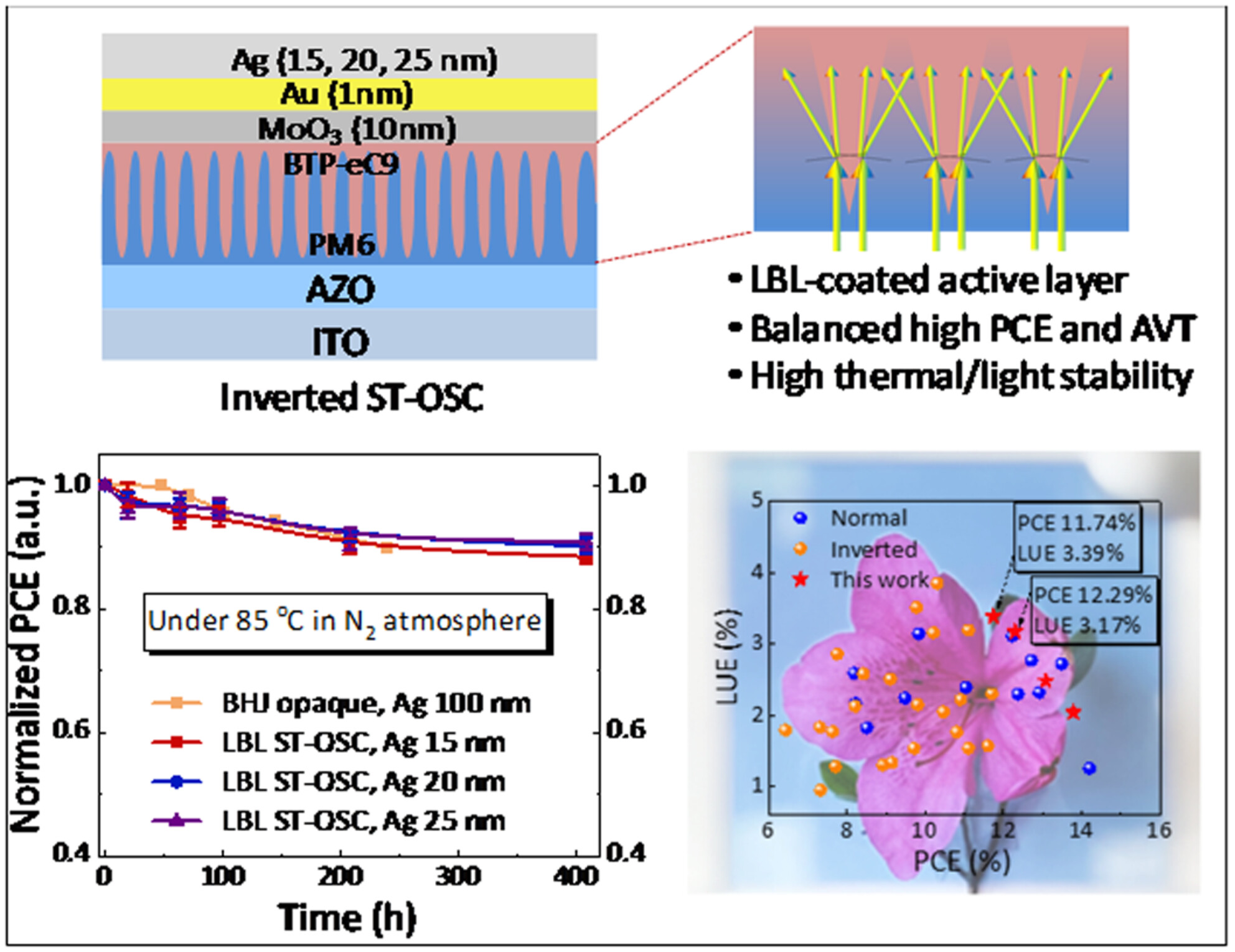 Semitransparent Organic Solar Cells with Superior Thermal/Light Stability and Balanced Efficiency and Transmittance