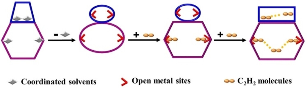 Optimizing Acetylene Sorption through Induced-fit Transformations in a Chemically Stable Microporous Framework
