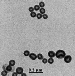 One-Step Preparation of Block Copolymer Vesicles with Preferentially Segregated Acidic and Basic Corona Chains