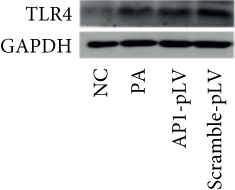 Details are in the caption following the image