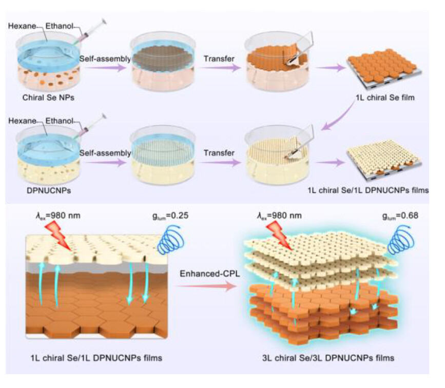 Generating Strong Circularly Polarized Luminescence from Self-assembled Films of Chiral Selenium Nanoparticles and Upconversion Nanoparticles