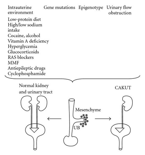 Details are in the caption following the image