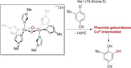 Simplest Monodentate Imidazole Stabilization of the oxy-Tyrosinase Cu2O2 Core: Phenolate Hydroxylation through a CuIII Intermediate