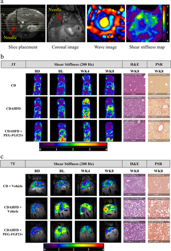 Details are in the caption following the image Details are in the caption following the image