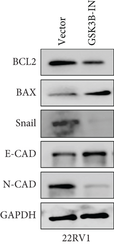 Details are in the caption following the image