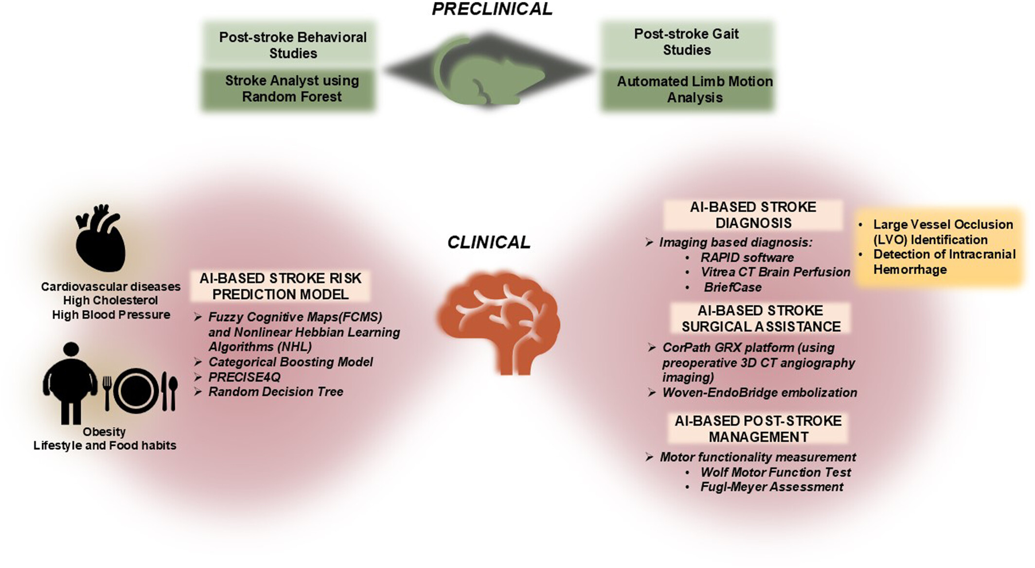 Implications of Artificial Intelligence in Stroke Intervention and Care