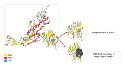 Details are in the caption following the image Details are in the caption following the image