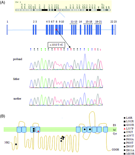Details are in the caption following the image Details are in the caption following the image
