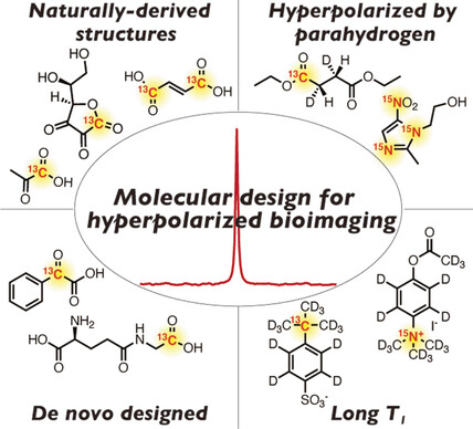 Design of Nuclear Magnetic Resonance Molecular Probes for Hyperpolarized Bioimaging