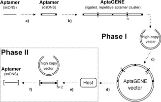 Biotechnology and Bioprocess Engineering – From the First Ullmann's Article to Recent Trends