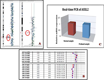 Details are in the caption following the image Details are in the caption following the image