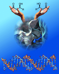 chemical structure image