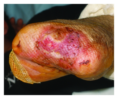 Details are in the caption following the image Details are in the caption following the image