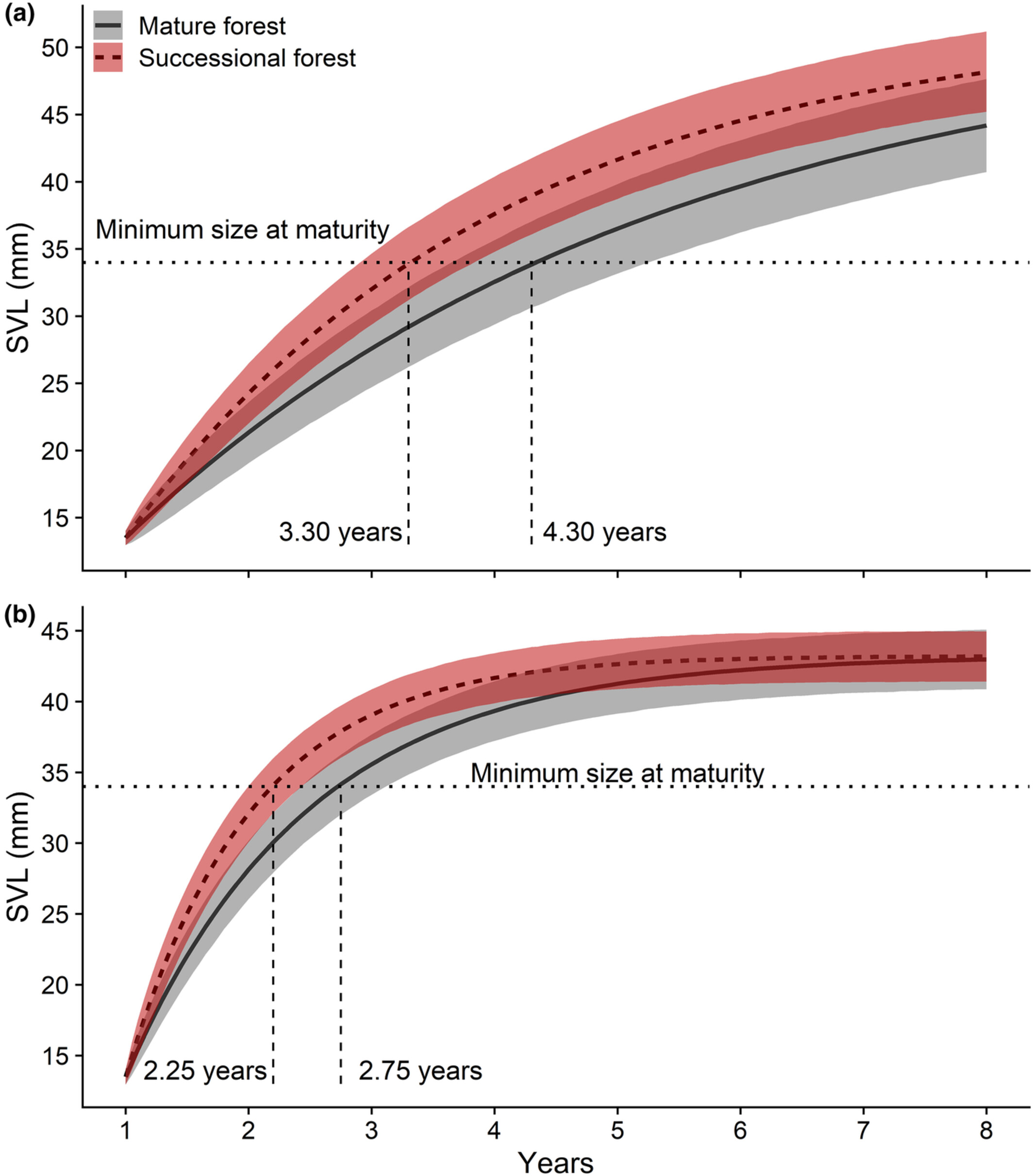 Demography and space-use of Eastern Red-backed Salamanders (Plethodon cinereus) between mature and successional forests