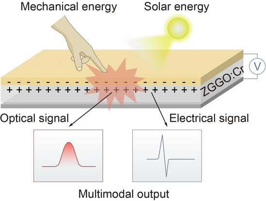 Self-Powered and Self-Recoverable Multimodal Force Sensors Based on Trap State and Interfacial Electron Transfer
