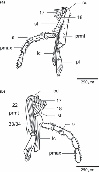 Details are in the caption following the image Details are in the caption following the image