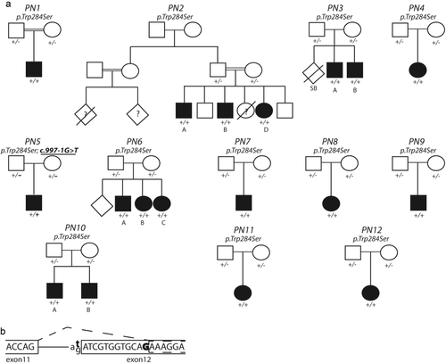 Details are in the caption following the image Details are in the caption following the image