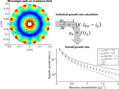 How Mixing and Light Heterogeneity Impact the Overall Growth Rate in Photobioreactors