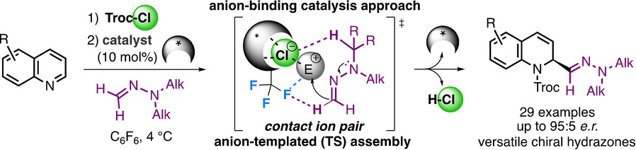 N,N-Dialkylhydrazones as Versatile Umpolung Reagents in Enantioselective Anion-Binding Catalysis