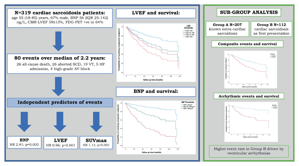 Predictors of outcome in a contemporary cardiac sarcoidosis population: Role of brain natriuretic peptide, left ventricular function and myocardial inflammation