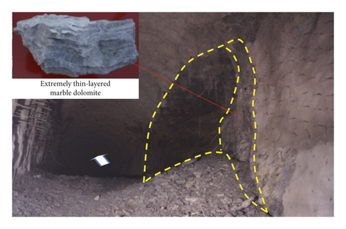 Details are in the caption following the image Details are in the caption following the image