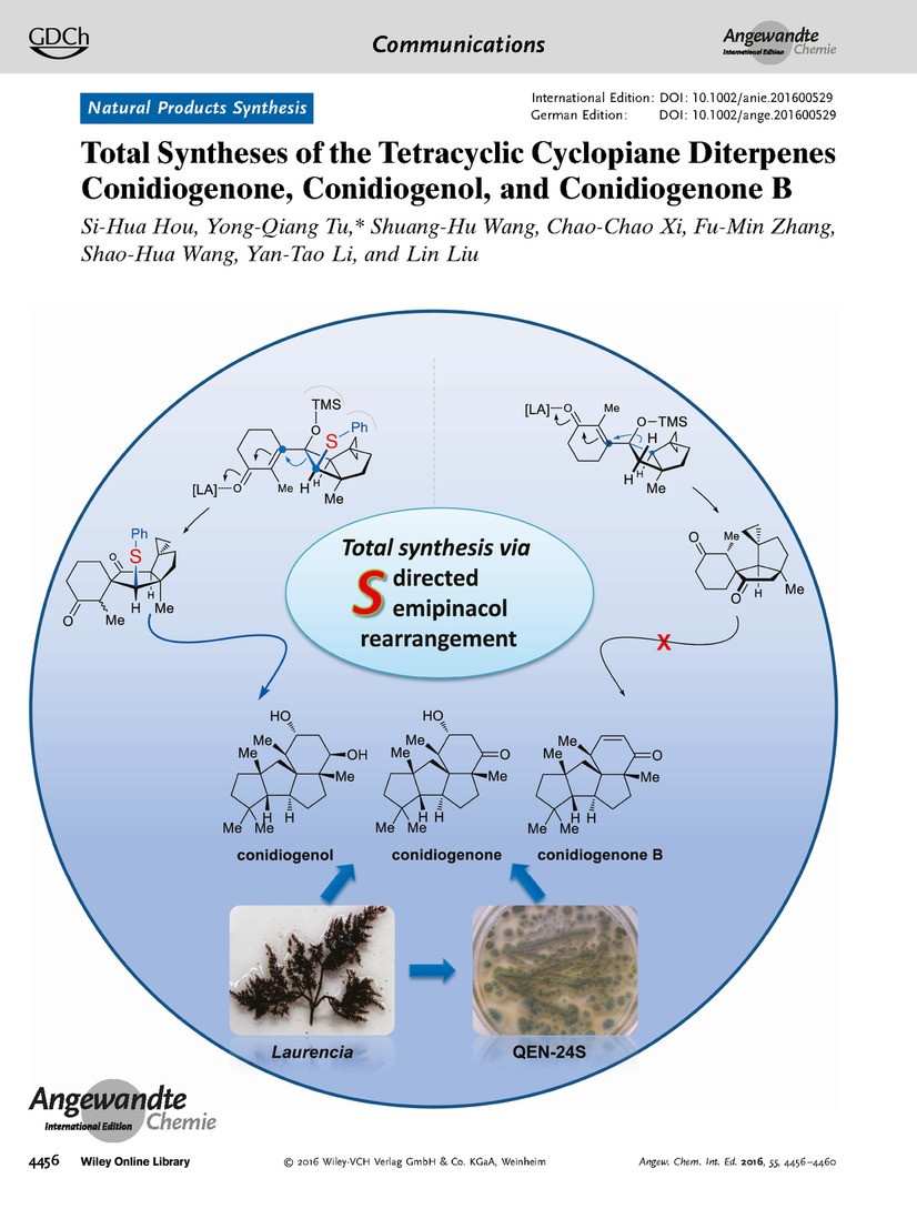 Frontispiece: Total Syntheses of the Tetracyclic Cyclopiane Diterpenes Conidiogenone, Conidiogenol, and Conidiogenone B Volume 55 Issue 14, 2016