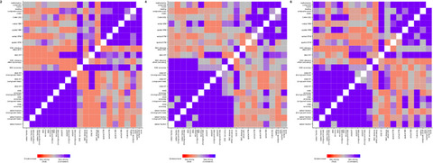 Predictors of mathematics in primary school: Magnitude comparison, verbal and spatial working memory measures