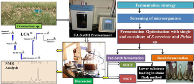 Life cycle assessment of bioethanol production from Pennisetum sp. using fed-batch simultaneous saccharification and cofermentation at high solid loadings